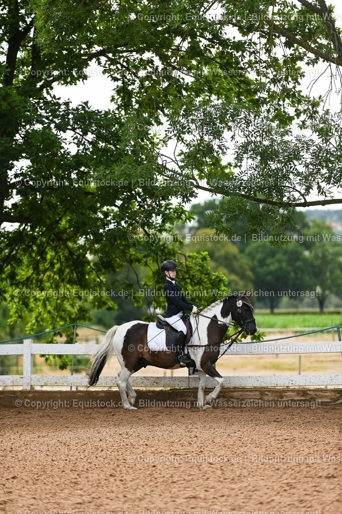 20230716_10-2_Reiter-WB Schritt - Trab - Galopp_0152 | equistock