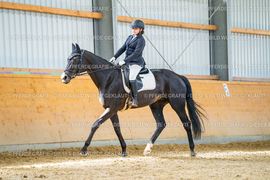 DSC08066 | Pferdegrafie