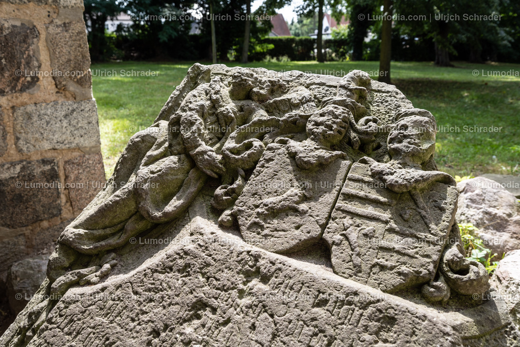 10049-12477 - Kirche Unser Lieben Frauen Loburg | Stockfoto und Bilderpool mit Bildmaterial aus Deutschland, dem Harz, Halberstadt, Quedlinburg, Wernigerode und weltweit. Qualitativ hochwertige und professionelle Fotos anschauen und kaufen. - Realisiert mit Pictrs.com