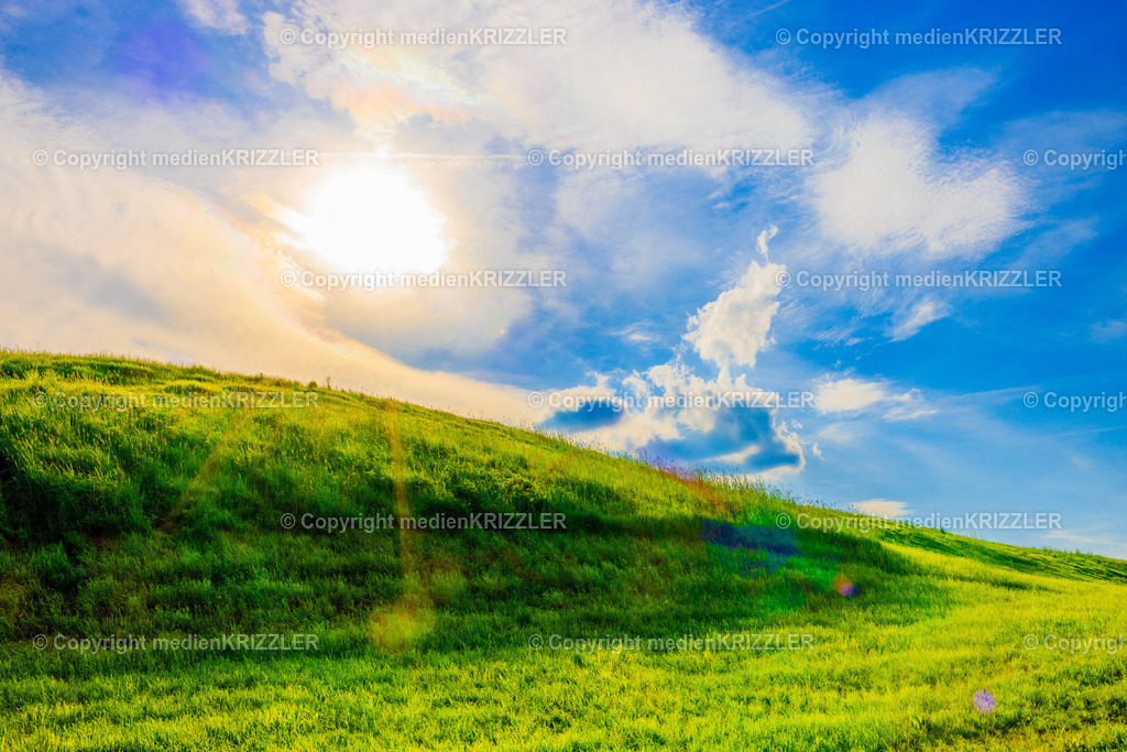 _J3A7804 | medienkrizzler - Realisiert mit Pictrs.com