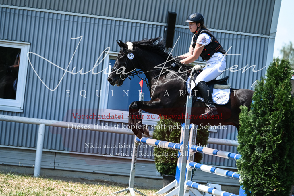 DSC_0421 | Pferde- und Turnierfotografie in Westsachsen. Pferdeportraits, Auftragszeichnungen und intuitive Kunst.