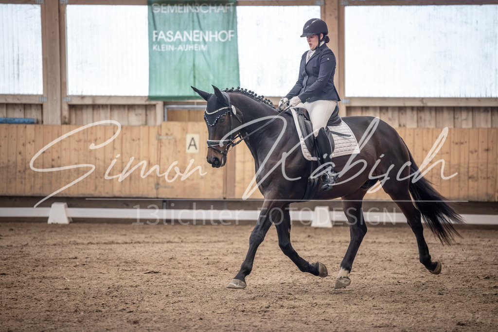20251011-_3LI0202 | Tierfotografie Pferde, Hunde, Katzen, Haustiere.
Turnierfotografie Reitturniere, Reiten, Springreiten, Dressur in Hanau, dem Main-Kinzig-Kreis und dem Rhein-Main- Gebiet um Frankfurt