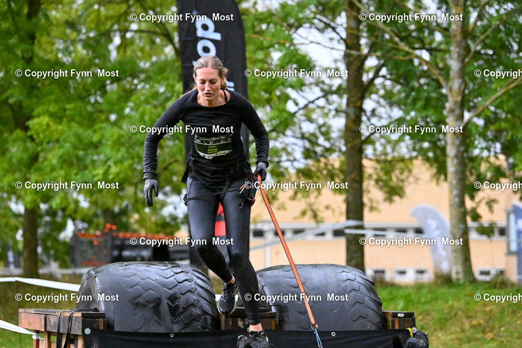DSC_0350 | Hallo und herzlich Willkommen auf meiner Shop-Seite Fynn Most.

Ich wünsche Dir viel Spaß beim stöbern durch die Bilder, wenn Du Fragen hast oder Bilder vermisst, kannst du mir gerne eine Nachricht schreiben. - Realized with Pictrs.com