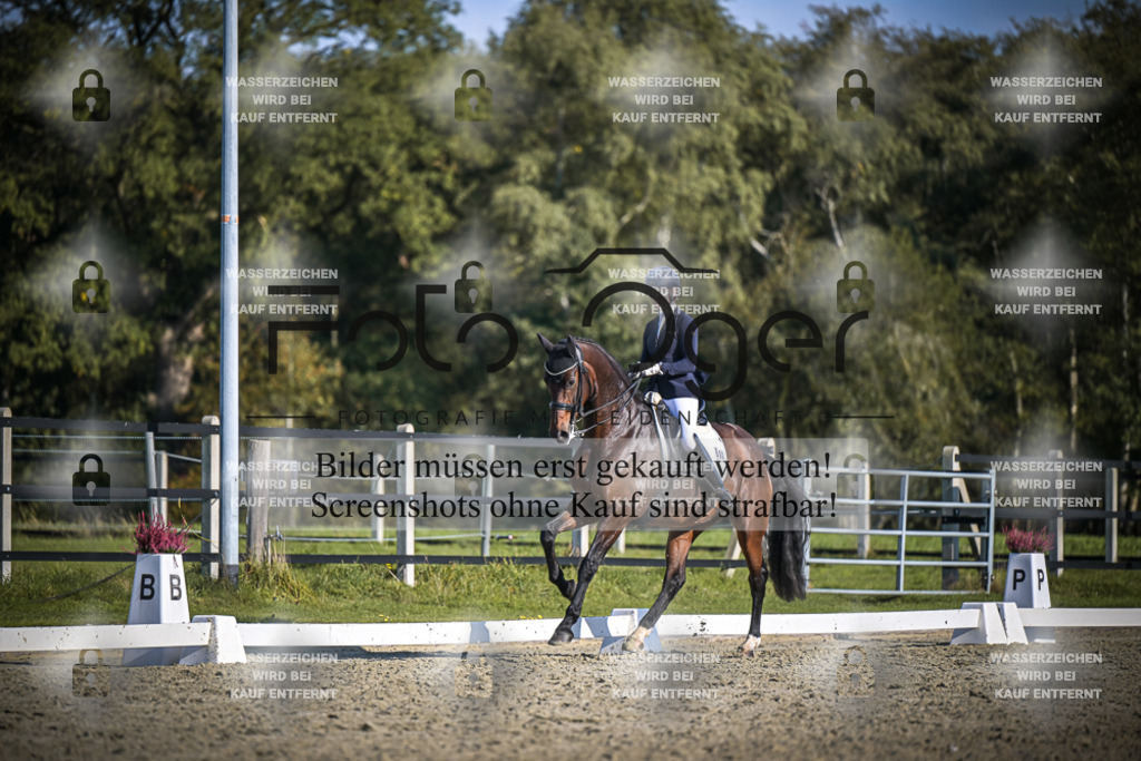 DOS_B825 | Entdecke hochwertige Reitturnierfotos von Foto Oger. Professionell, emotional und authentisch – jetzt Lieblingsmomente im Shop bestellen.Deutschlandweite Turnierfotografie. - Realisiert mit Pictrs.com