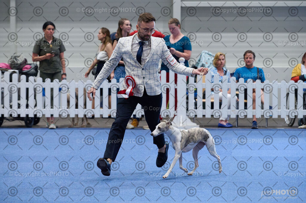 202406_ÖKV-IHA-Tulln24_DSC_5239 | proPHOTO - Realisiert mit Pictrs.com