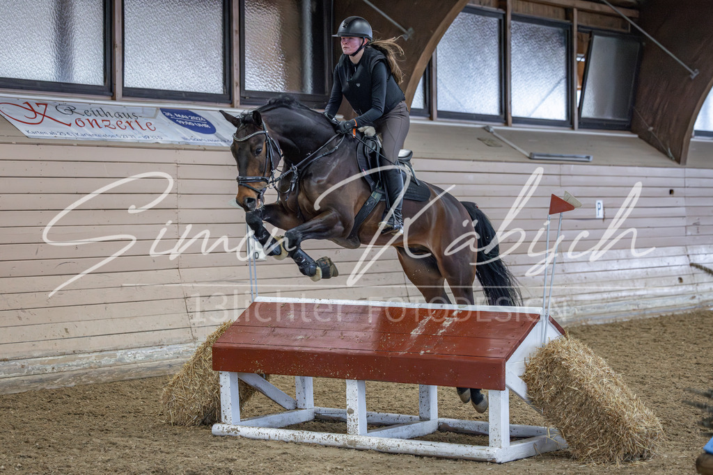 20260221-_3LI0572 | Tierfotografie Pferde, Hunde, Katzen, Haustiere.
Turnierfotografie Reitturniere, Reiten, Springreiten, Dressur in Hanau, dem Main-Kinzig-Kreis und dem Rhein-Main- Gebiet um Frankfurt