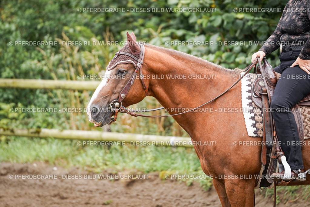 DSC02727 | Pferdegrafie