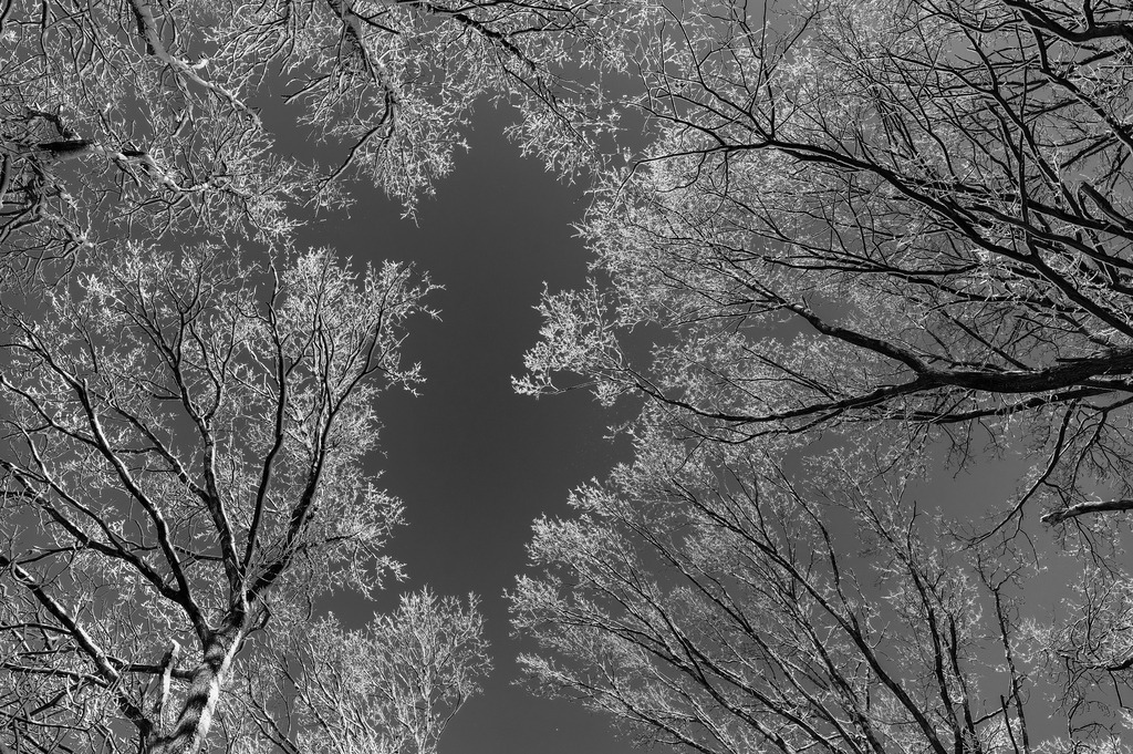 2023_03_11_MCP7247 sw | Hochwertig gedruckte Fotografien für die Wand, als Kalender und zum Verschenken. Hamburg & Norddeutschland und überall wo ich mit der Kamera unterwegs war.