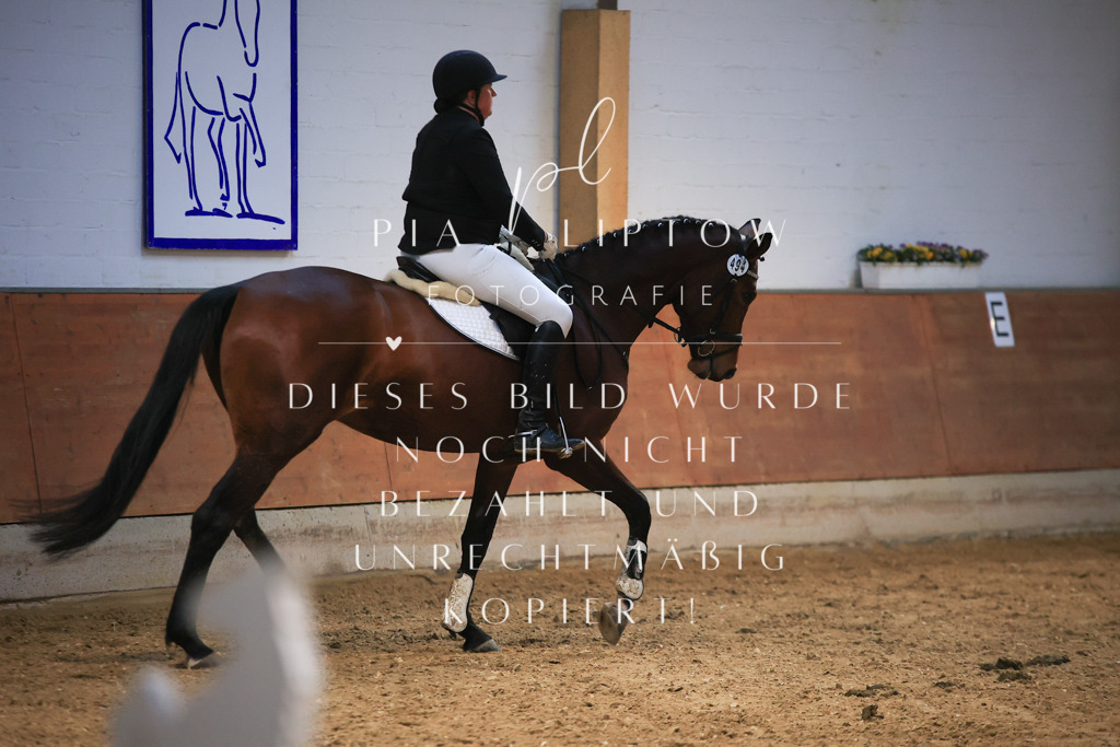 IMGT1641 | pl-fotografie