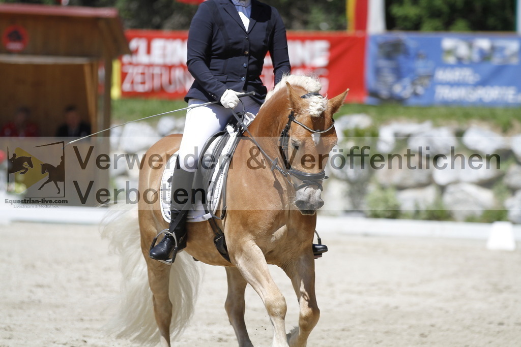 _MG_5253 | equestrian-live-com