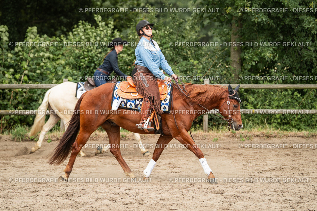 DSC03416 | Pferdegrafie