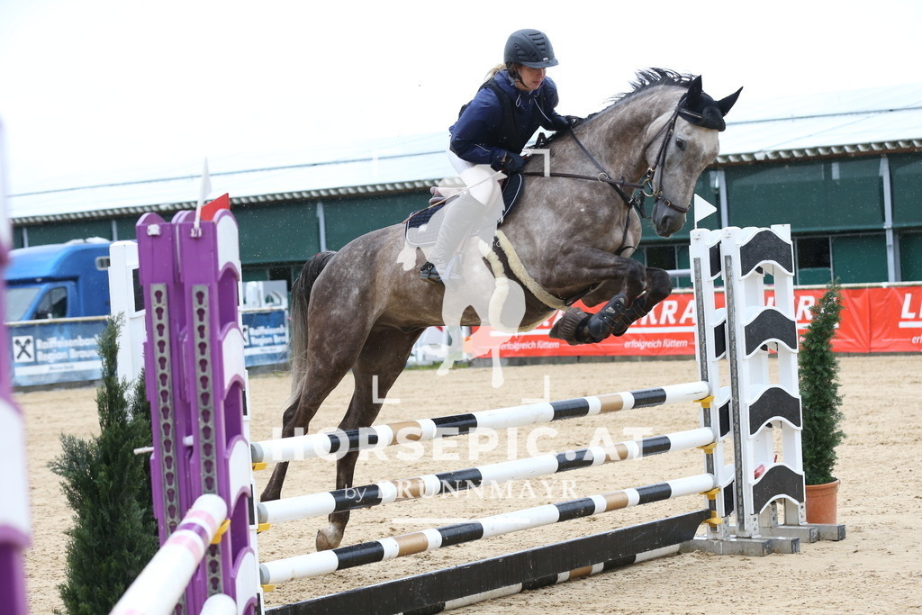 DL2Q6289 | Willkommen bei Brunnmayr - Design & Fotografie – Ihrem Spezialisten für Reitturniere und Pferdeveranstaltungen in Oberösterreich, Salzburg und Bayern! Seit über 17 Jahren sind wir leidenschaftlich dabei.