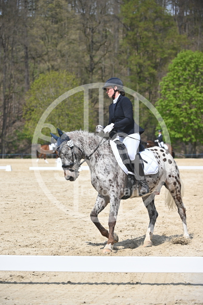 DSC_2292 | sattelsport - Realisiert mit Pictrs.com