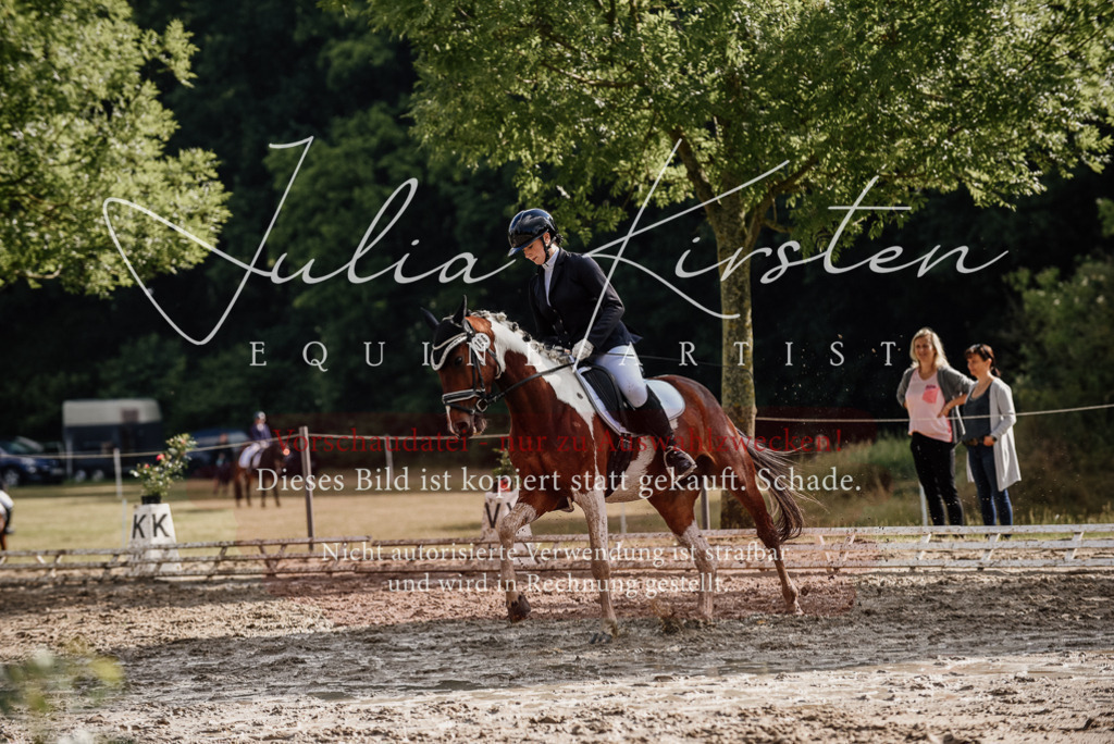 DSC_8779 | Pferde- und Turnierfotografie in Westsachsen. Pferdeportraits, Auftragszeichnungen und intuitive Kunst.
