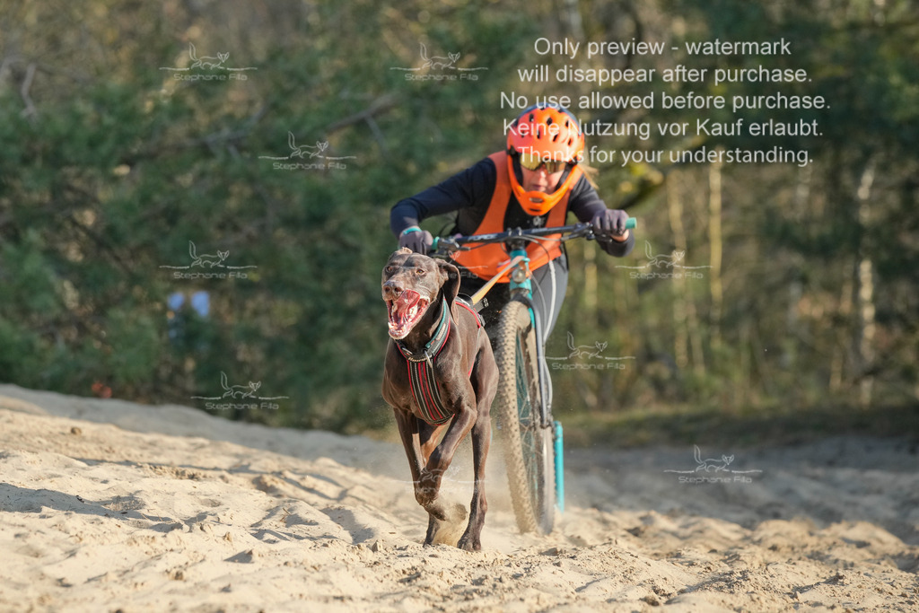 So_Scooter-96 | stephaniefillaphotographie - Realisiert mit Pictrs.com