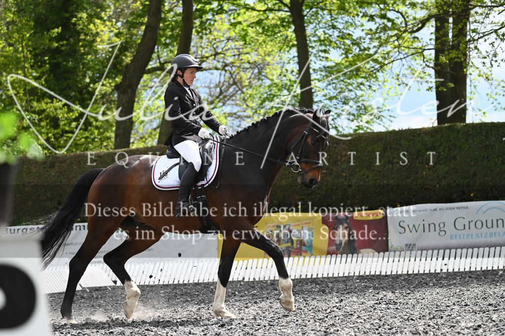 20230512_JK-Röhrsdorf-08-117 | Pferde- und Turnierfotografie in Westsachsen. Pferdeportraits, Auftragszeichnungen und intuitive Kunst.