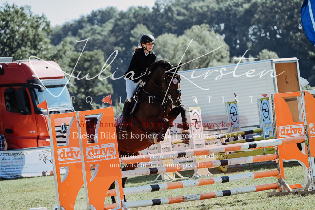 DSC_5636 | Pferde- und Turnierfotografie in Westsachsen. Pferdeportraits, Auftragszeichnungen und intuitive Kunst.