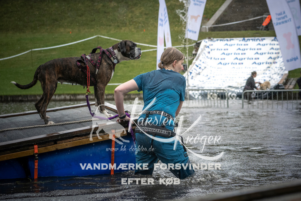 1327_ZZ98554 | kk-dogfotos
