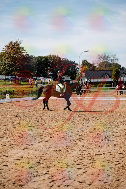 2026_10_03_Siefer-Hof_133509_Z63_94303654 | Professionelle Reitsport-, Turnier- und Eventfotografie von Robert Broda. Galerien mit ausgewählten und bearbeiteten Bildern direkt online ansehen und bestellen.