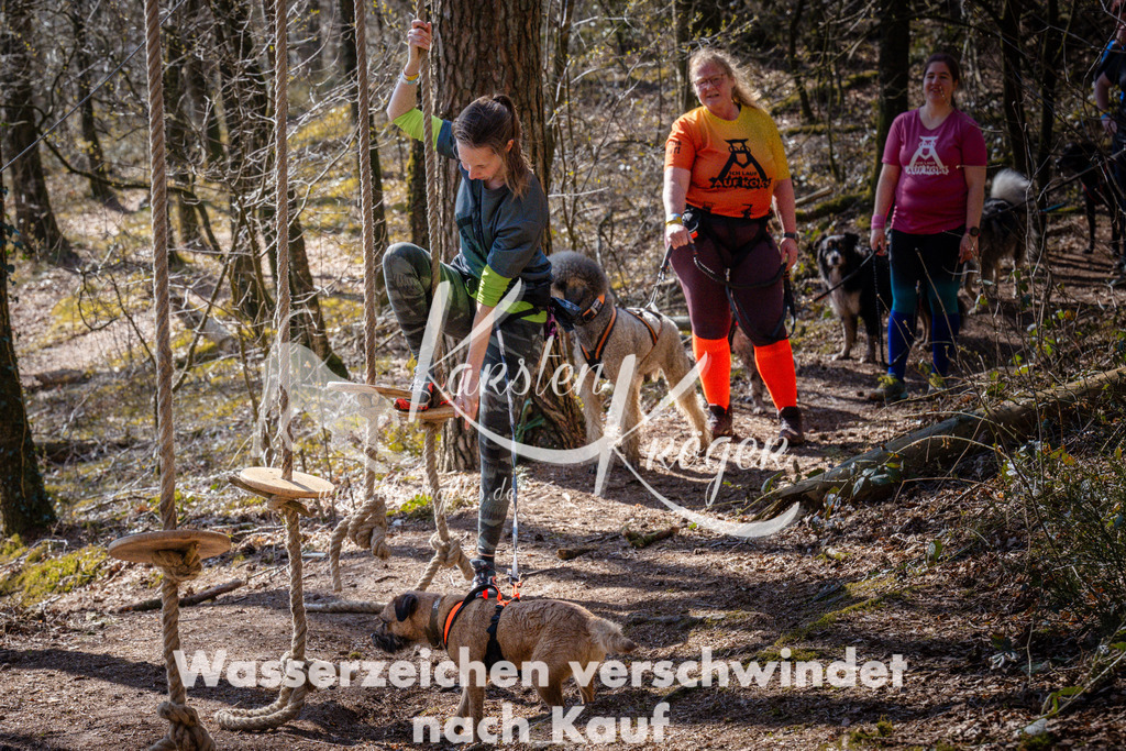 1136_ZZ98791 | kk-dogfotos