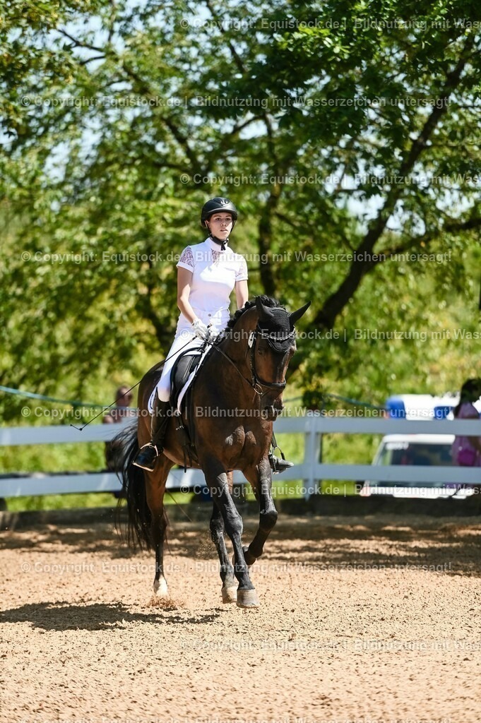 20230715_02_Dressurreiterprüfung Kl.L_0063 | equistock