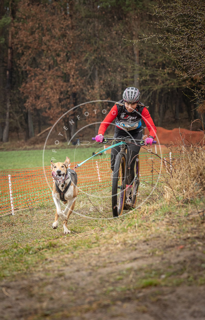 0L8A9036 | Hundefotografie, Tierfotograf, Pfotenfotografie, Fotoshooting Hund, Hunde Portrait, Hundesport, Hundeportraits, Heideshooting, Hunde, Sportfotograf, Hundefotograf, Turnierhundsport, THS,  - Realisiert mit Pictrs.com