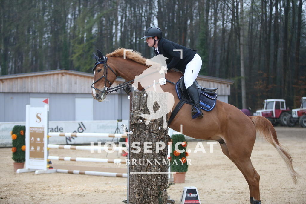 PP013080 | Willkommen bei Brunnmayr - Design & Fotografie – Ihrem Spezialisten für Reitturniere und Pferdeveranstaltungen in Oberösterreich, Salzburg und Bayern! Seit über 17 Jahren sind wir leidenschaftlich dabei.