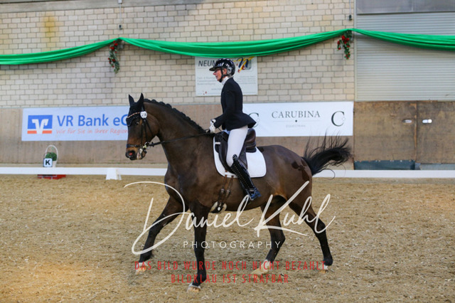 IMG_2728 | Turnierfotos kaufen im Webshop von Daniel Kuhl Photography – entdecke professionelle Reitsportfotos aus Turnieren & Events. Hochwertige Turnierbilder online bestellen & sichern. Jetzt Fotos von Reitsportturnieren kaufen!