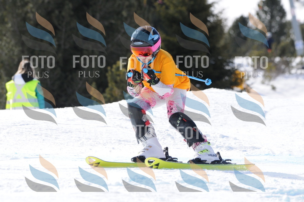 C7277 | holidayphoto