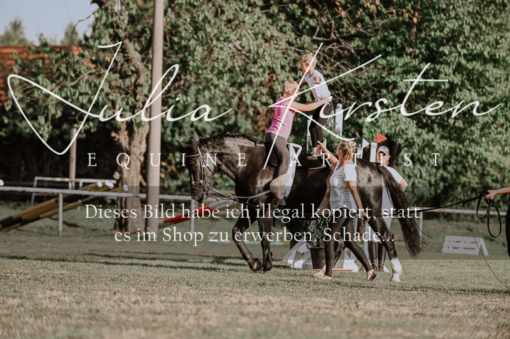 DSC_9994 | Pferde- und Turnierfotografie in Westsachsen. Pferdeportraits, Auftragszeichnungen und intuitive Kunst.