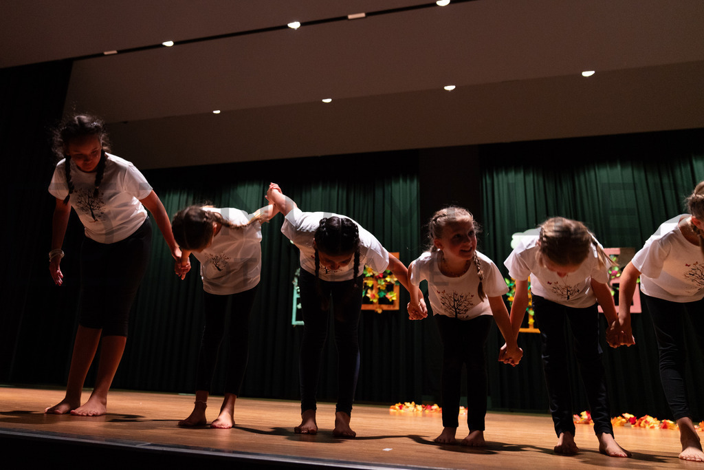 _DSC2015 | Tinu Müller Fotografie- Bildershop - Realisiert mit Pictrs.com