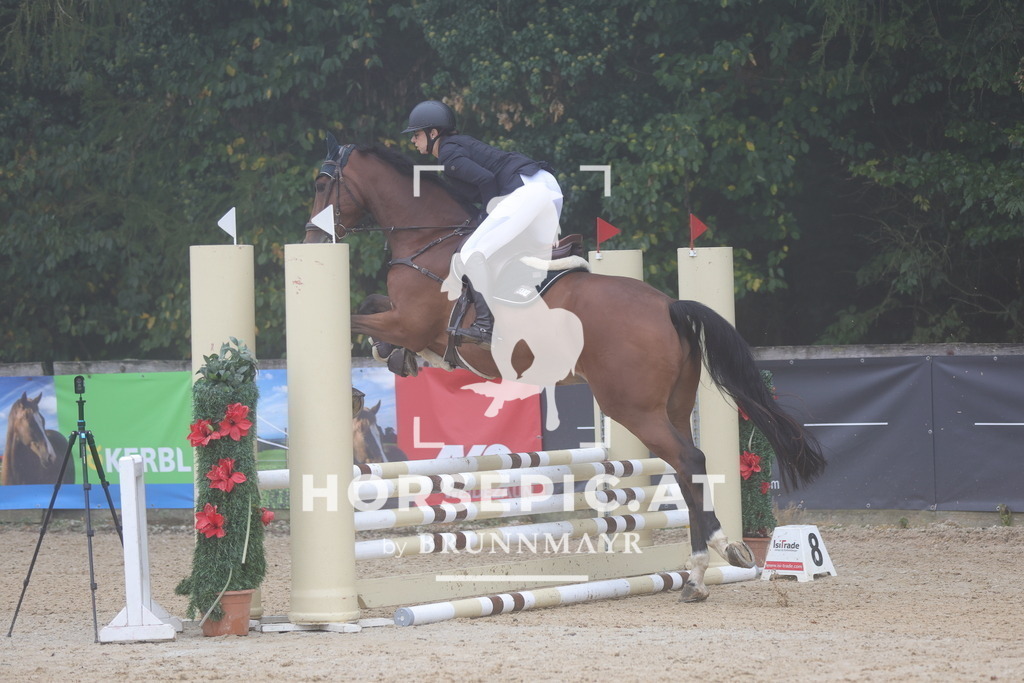 0P6A0324 | Willkommen bei Brunnmayr - Design & Fotografie – Ihrem Spezialisten für Reitturniere und Pferdeveranstaltungen in Oberösterreich, Salzburg und Bayern! Seit über 17 Jahren sind wir leidenschaftlich dabei.