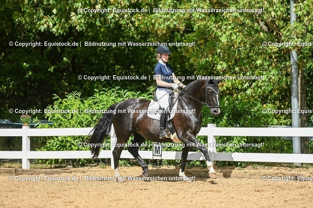 20230715_02_Dressurreiterprüfung Kl.L_0350 | equistock