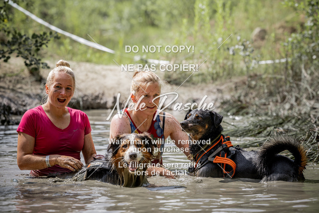 nelerasche_so1030-1100_431 | nelerasche