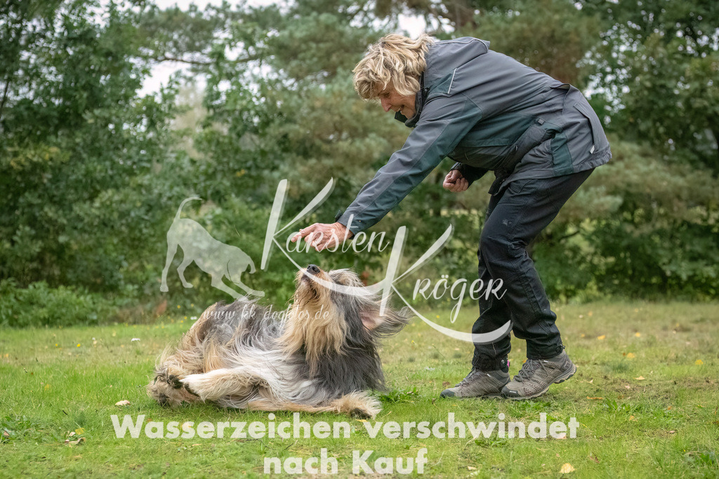 0951_ZZ90953-Bearbeitet | kk-dogfotos