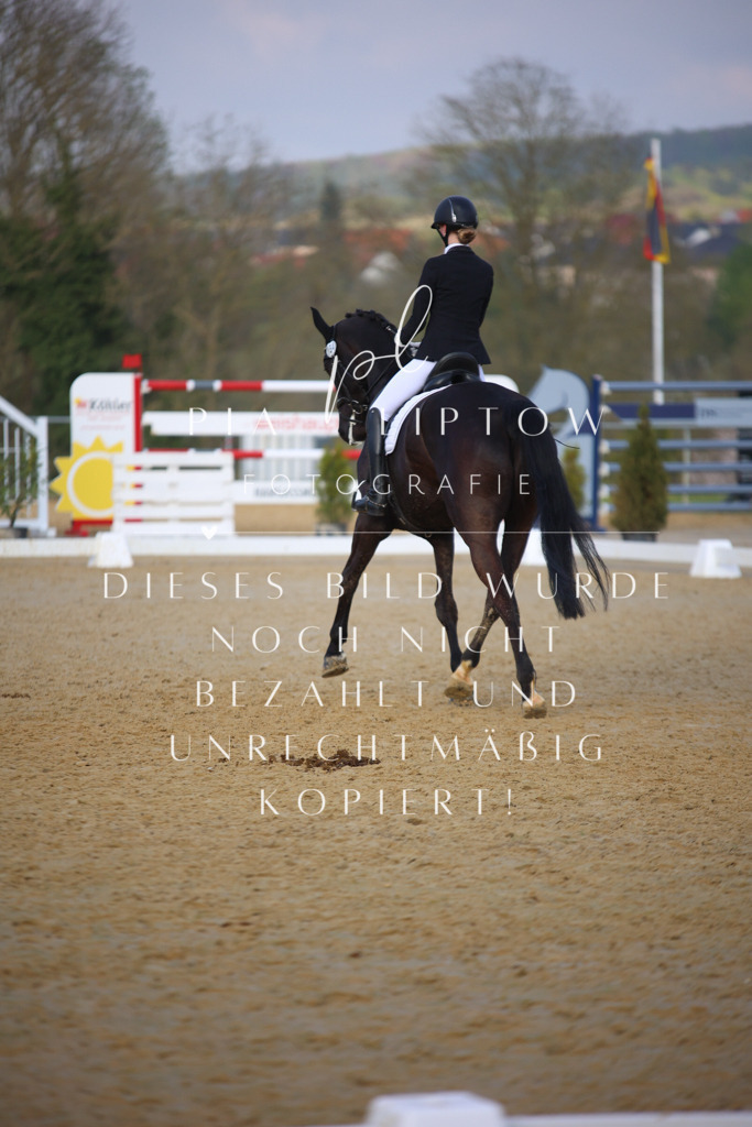 IMGT8864 | pl-fotografie