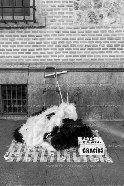 Feierabend Pandabär | Madrid