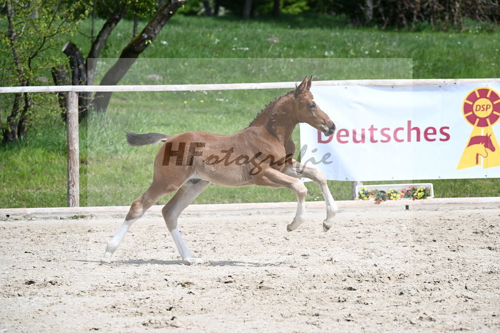 Taycan B x Lasino_HF_Unverdorben_11240369 | hf-fotografie - Realisiert mit Pictrs.com