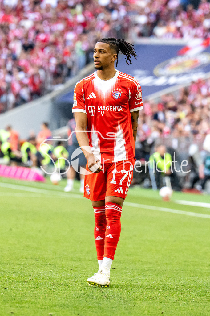 FC Bayern München - 1. FC Heidenheim | MUNICH, GERMANY - 02. MAI: im Bild  Michael OLISE (FC Bayern Munich 17) / Einzelfoto / Freisteller während dem Bundesligamatch zwischen dem FC Bayern München und dem 1. FC Heidenheim am 32. Spieltag in der Allianz Arena / DFL REGULATIONS PROHIBIT ANY USE OF PHOTOGRAPHS AS IMAGE SEQUENCES AND/OR QUASI-VIDEO