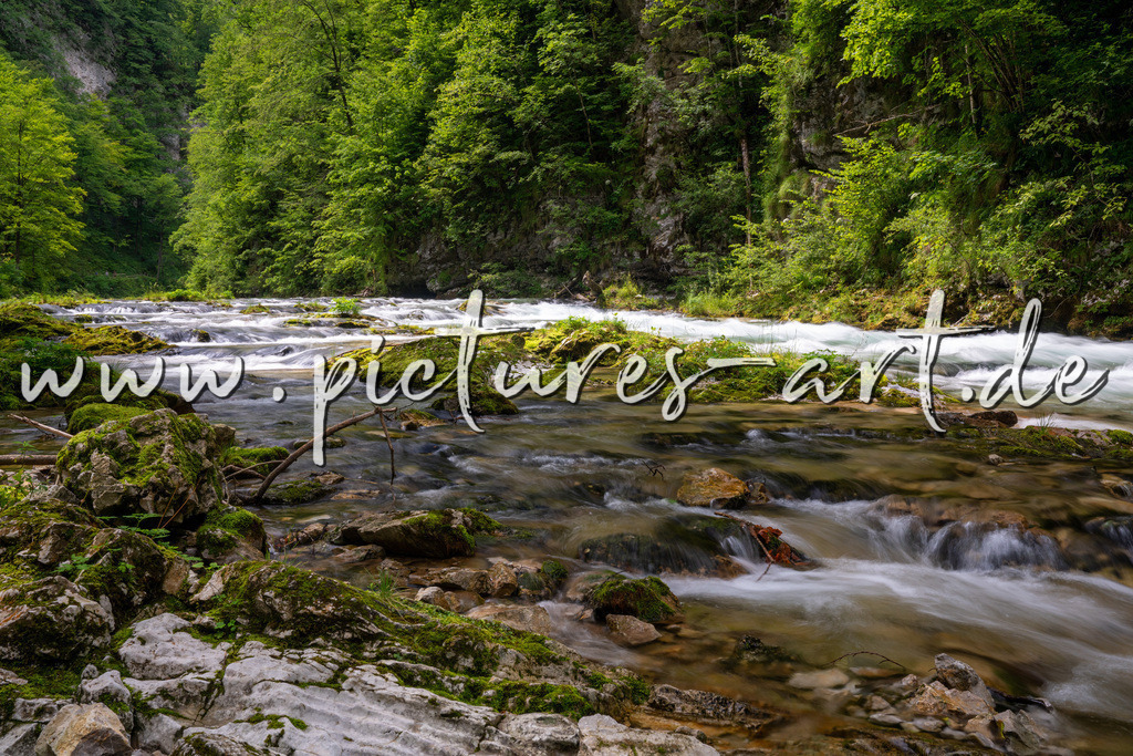 DSC09804 | pictures-art.de