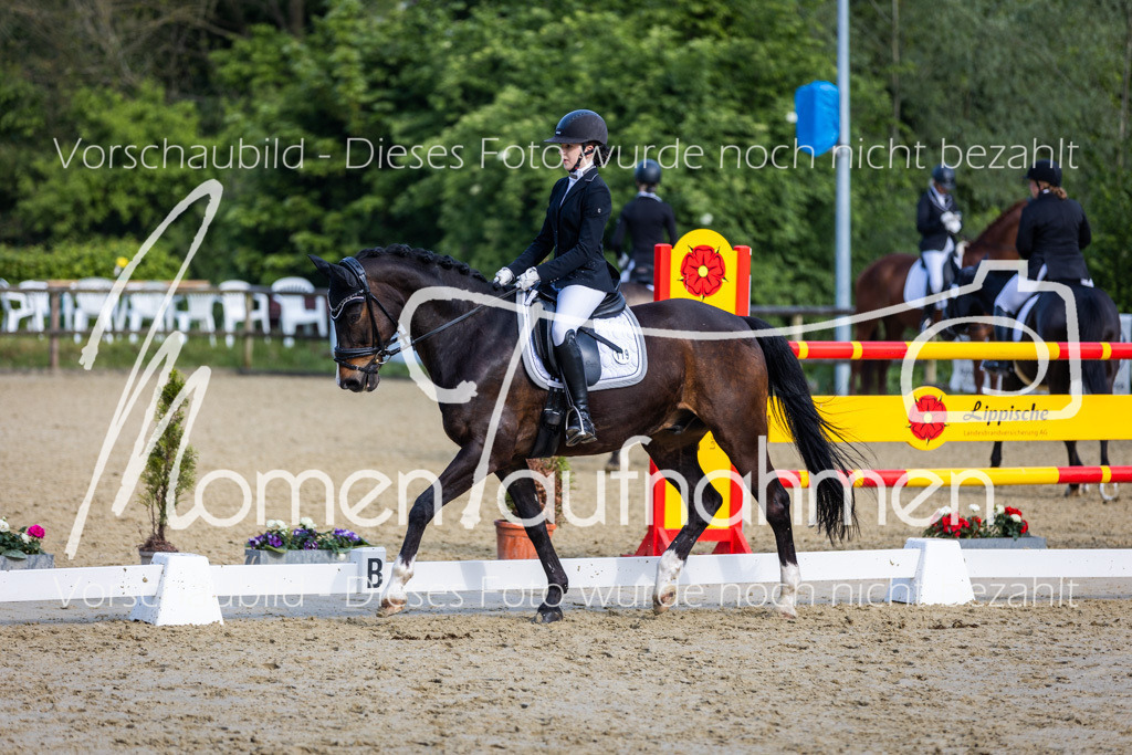 Donop24-A-Dre-109 | MomenTaufnahmen Pferdesportfotos