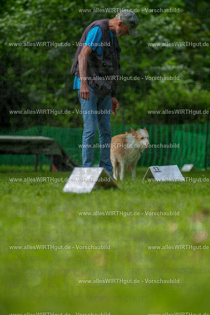 @allesWIRTHgut_Tierfotografie - www.allesWIRTHgut.de - 7R505595 | Professionelle Tierfotografie in Mönchengladbach von Daniel Wirth (allesWIRTHgut). Liebevolle & natürliche Bilder von Hunden & Katzen für unvergessliche Erinnerungen.