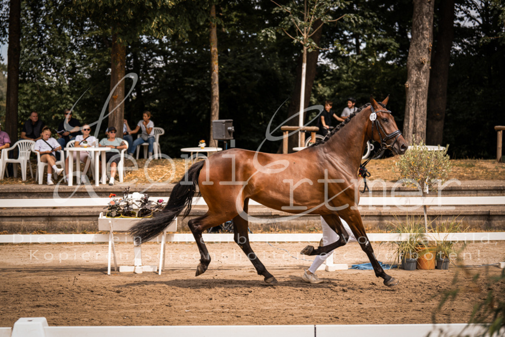 3.Fr00119 | Leoni Ertmer Photography - Realisiert mit Pictrs.com