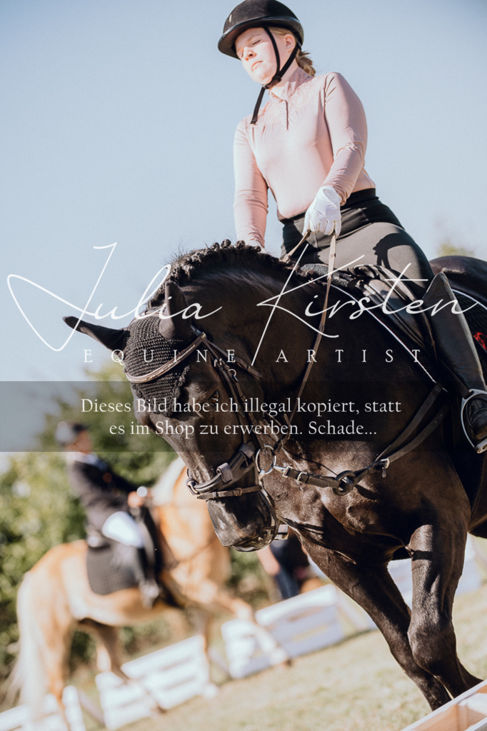 DSC_7092 | Pferde- und Turnierfotografie in Westsachsen. Pferdeportraits, Auftragszeichnungen und intuitive Kunst.