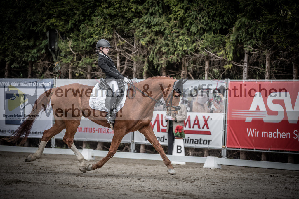 DSC_3229 | equestrian-live-com