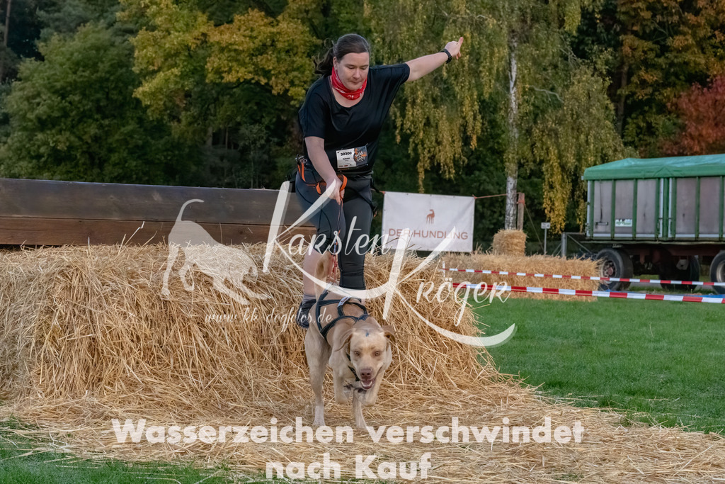 0810_ZZ94577-Bearbeitet | kk-dogfotos