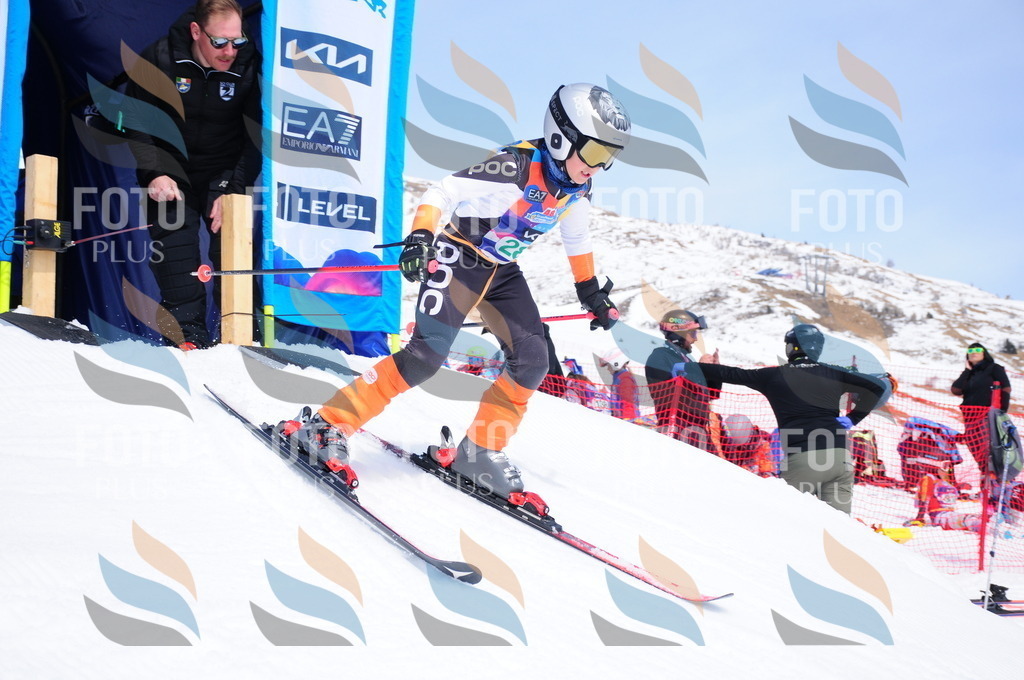 DSC_2749 | holidayphoto