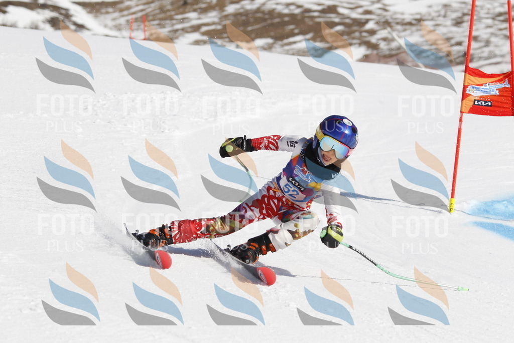 _U3G9508 | holidayphoto