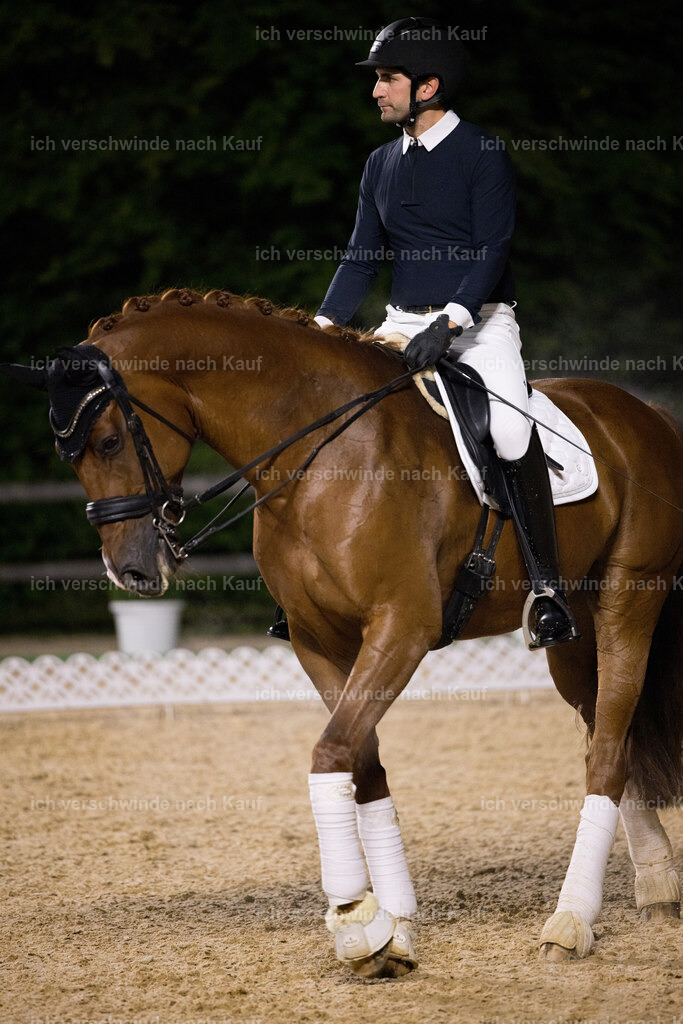 FHC2025 Isabell Werth-26503 | working equitationturnier fotograf videograf stoibphotography marixx film working equitation deutschland reitsport turnierfotografie eventfotografie equestrian events