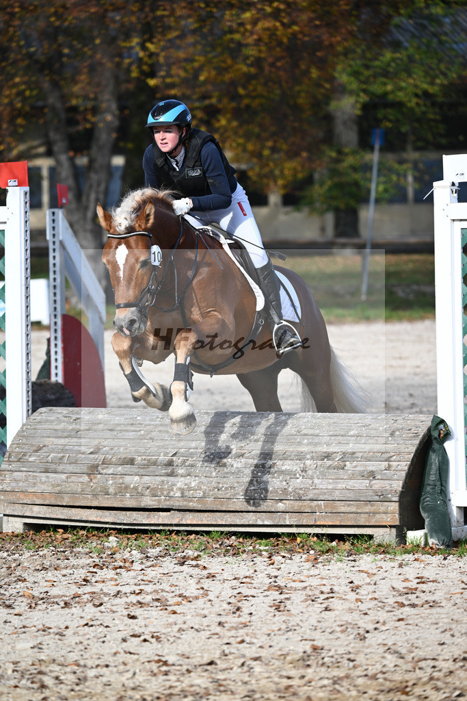 Kat-Nr. 10 Napoleon Bonaparte_Blum_44240667 | hf-fotografie - Realisiert mit Pictrs.com